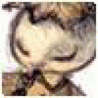 snusernameq7