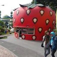 echy