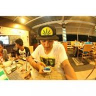 ari wibowo