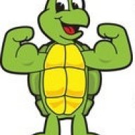 SteadyTurtle