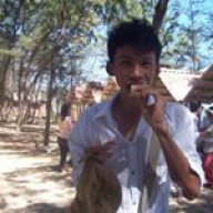 davidho
