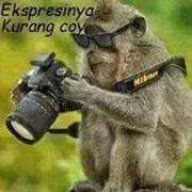 Joko Auditis