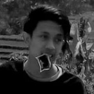 NginG