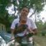rajawali17