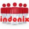 indonix