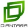 DiAntaraNET