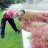Abdul Wahid