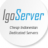 IgoServer